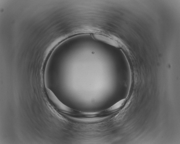 X0000078001238200611031437