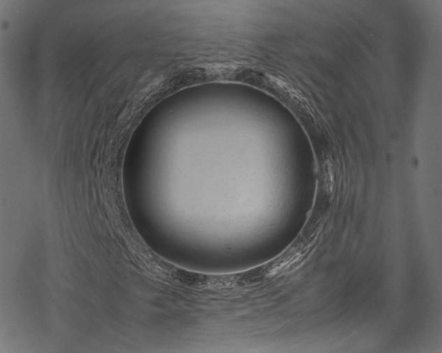 X0000078001249200611031437