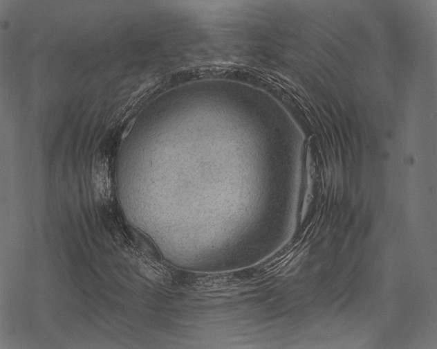 X0000078001252200611031437