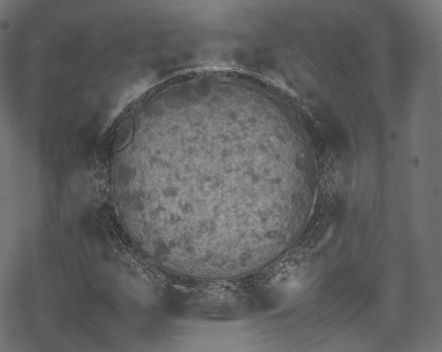 X0000078001255200611031436