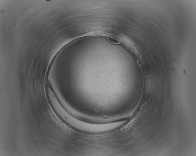 X0000078001284200611031436