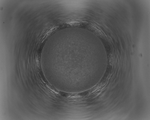 X0000078001298200611031435