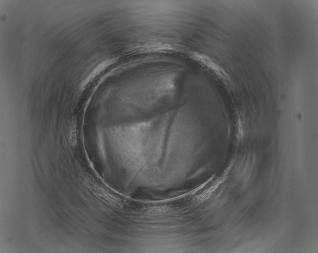 X0000078001306200611031435