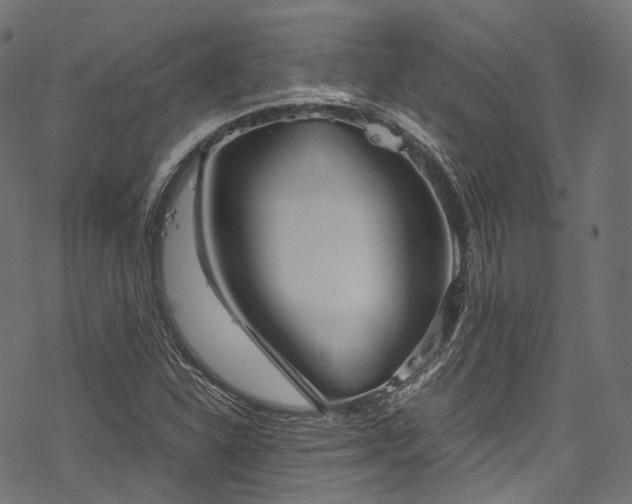 X0000078001310200611031435