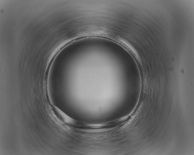 X0000078001340200611031436