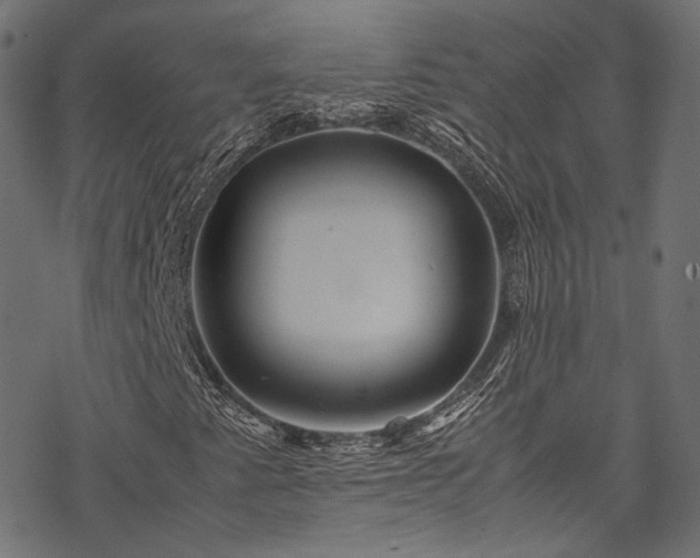X0000078001345200611031435