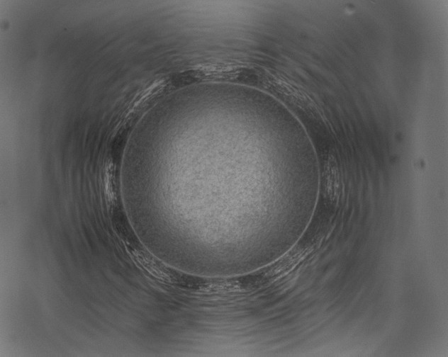 X0000078001346200611031435