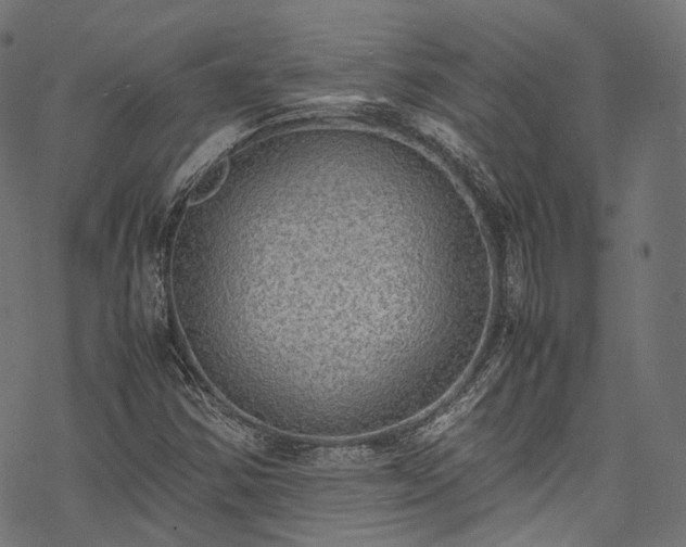 X0000078001354200611031435