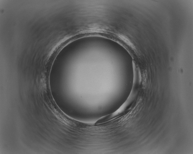 X0000078001356200611031435