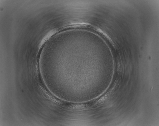 X0000078001362200611031435