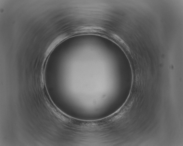 X0000078001370200611031435