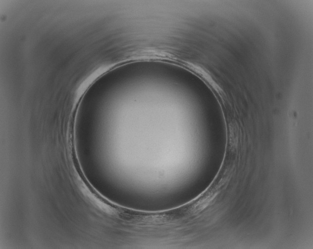 X0000078001387200611031434