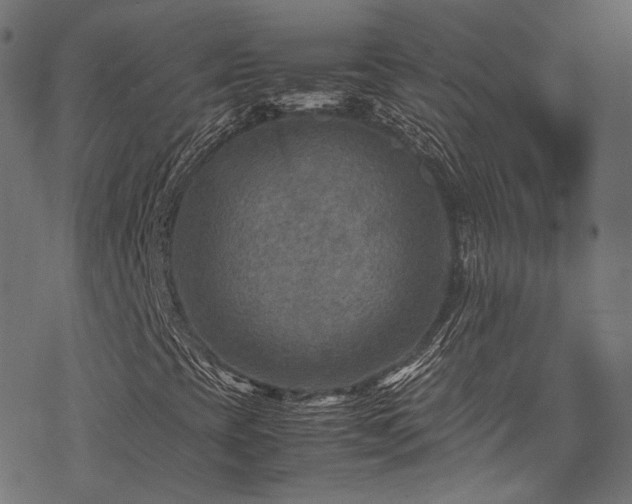 X0000078001393200611031433