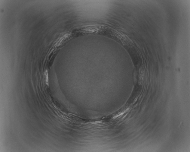 X0000078001394200611031433