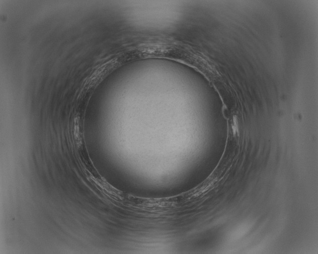 X0000078001396200611031434