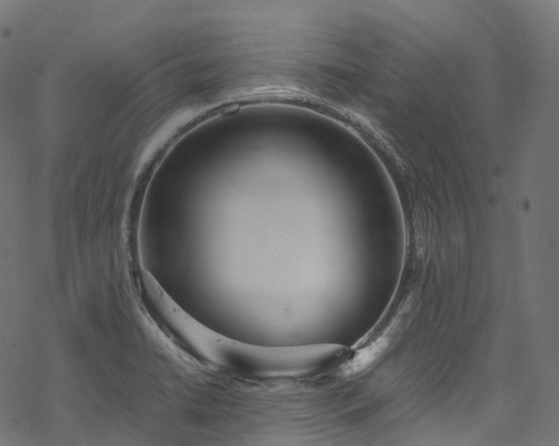X0000078001422200611031434