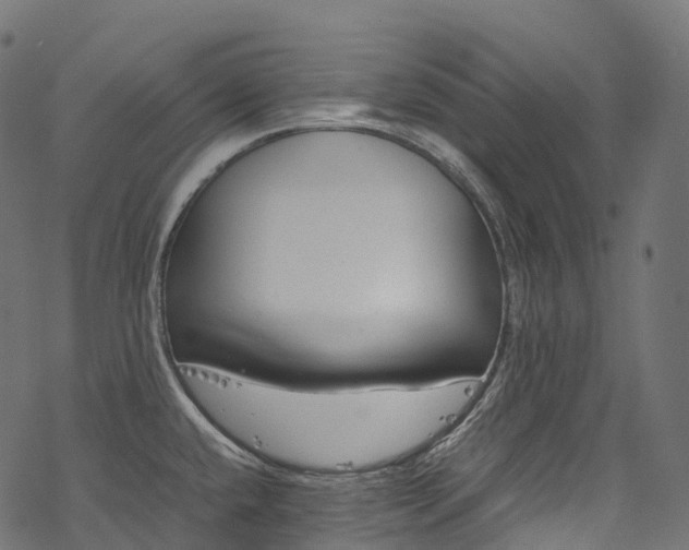 X0000078001432200611031434