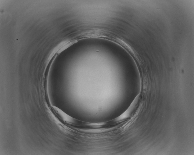 X0000078001434200611031434