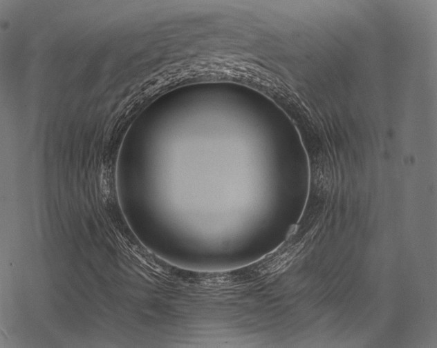 X0000078001490200611031432