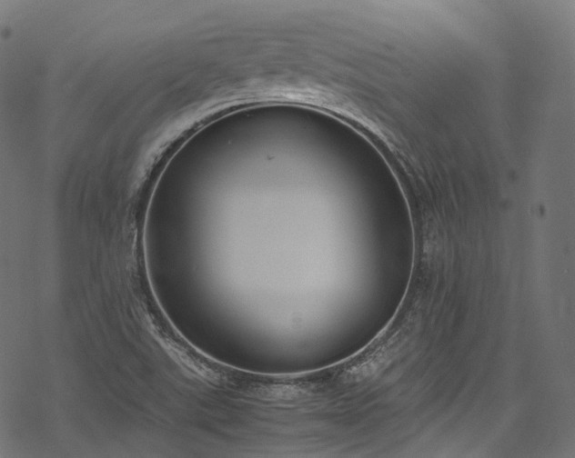 X0000078001507200611031432