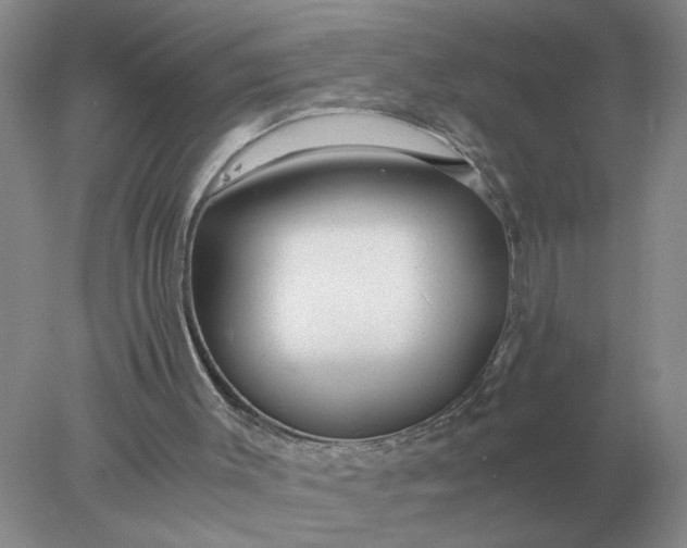 X0000078000003200611101806
