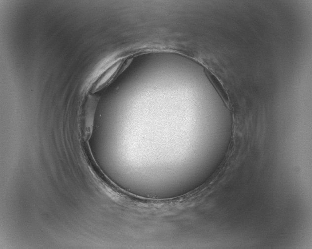 X0000078000005200611101806