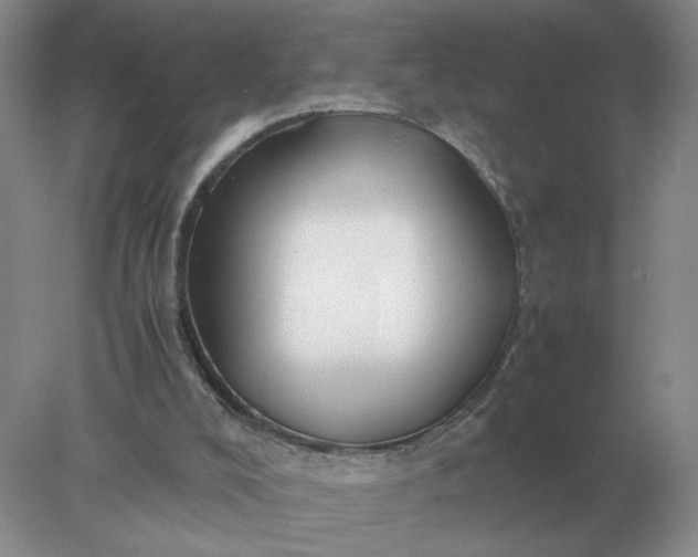 X0000078000008200611101806