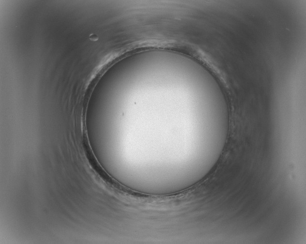 X0000078000011200611101806