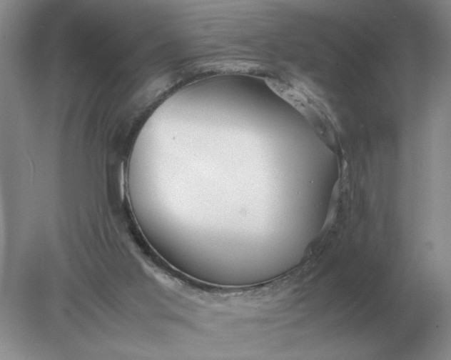 X0000078000013200611101806