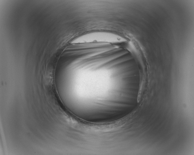 X0000078000017200611101806