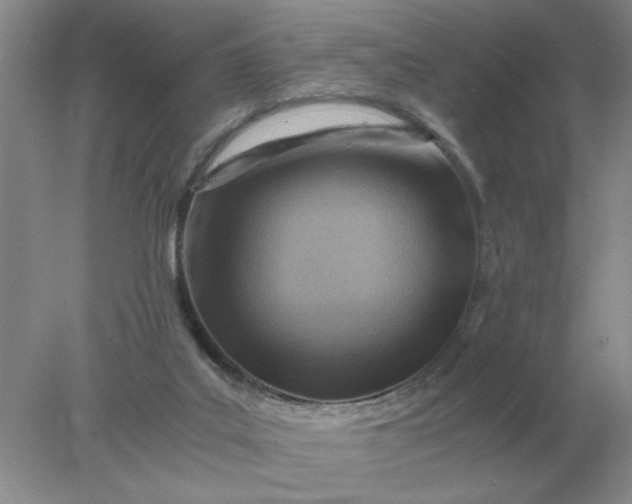 X0000078000019200611101806