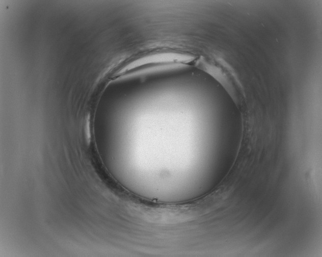 X0000078000020200611101806