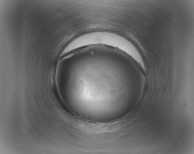 X0000078000023200611101806