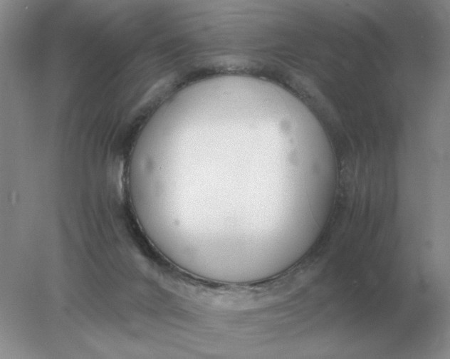X0000078000024200611101806