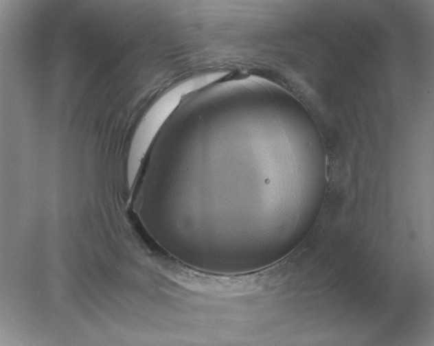 X0000078000027200611101806