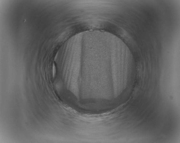 X0000078000029200611101806