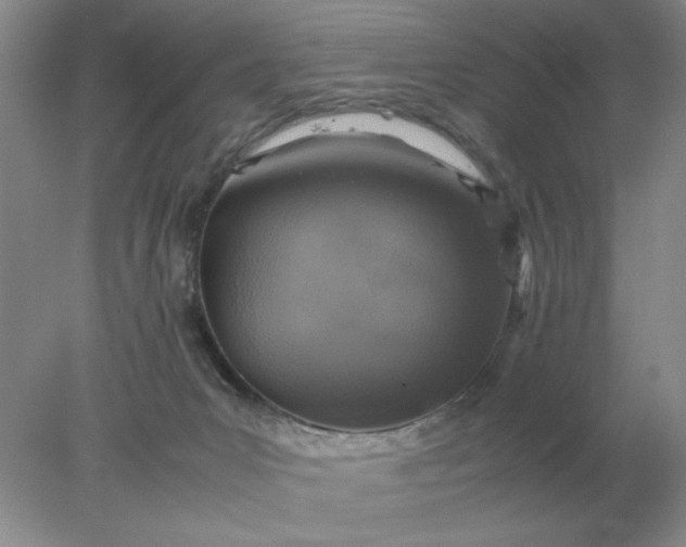 X0000078000031200611101806