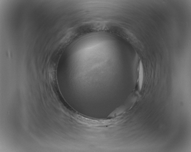 X0000078000035200611101806