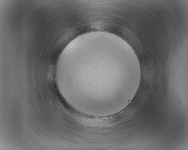 X0000078000036200611101806
