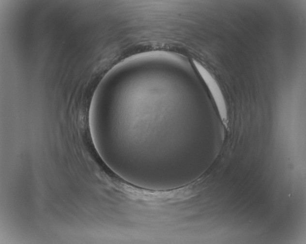 X0000078000039200611101805