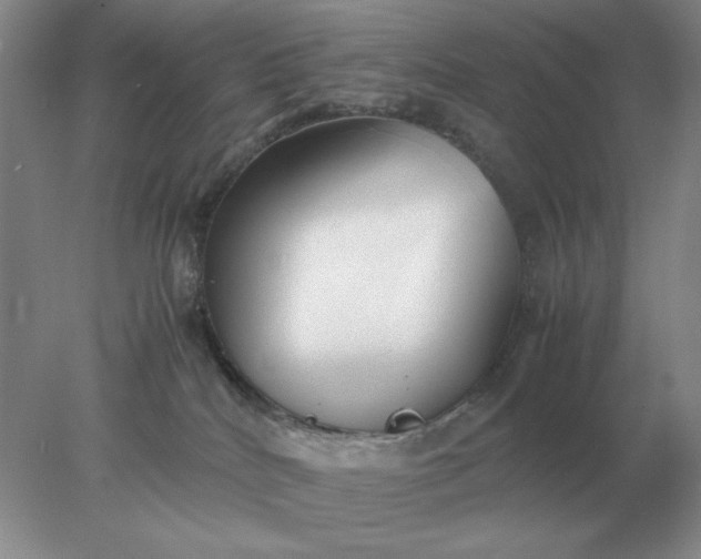 X0000078000040200611101805