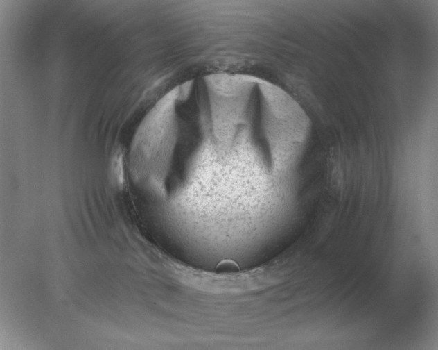 X0000078000042200611101805
