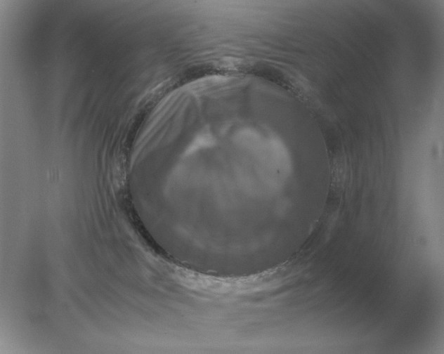 X0000078000043200611101805