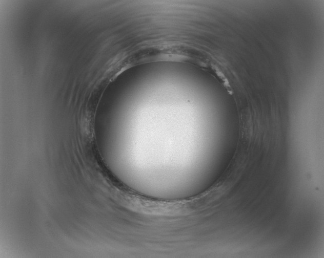 X0000078000044200611101805