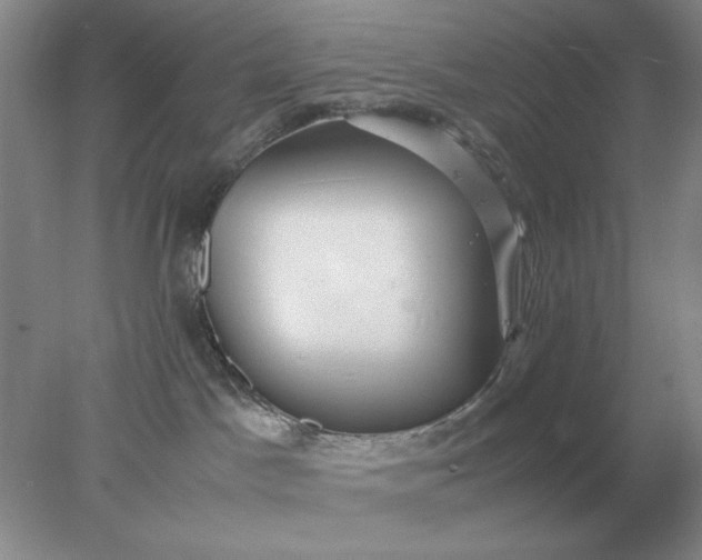 X0000078000045200611101805
