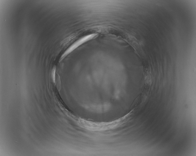 X0000078000047200611101805