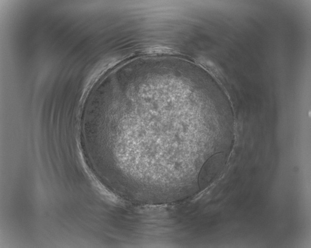 X0000078000049200611101804