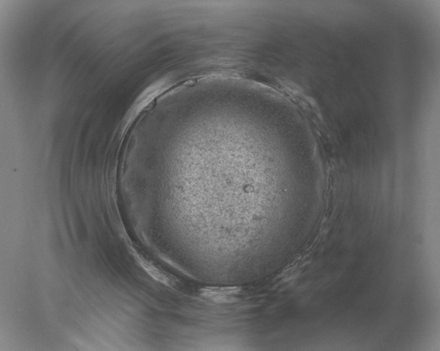 X0000078000051200611101805