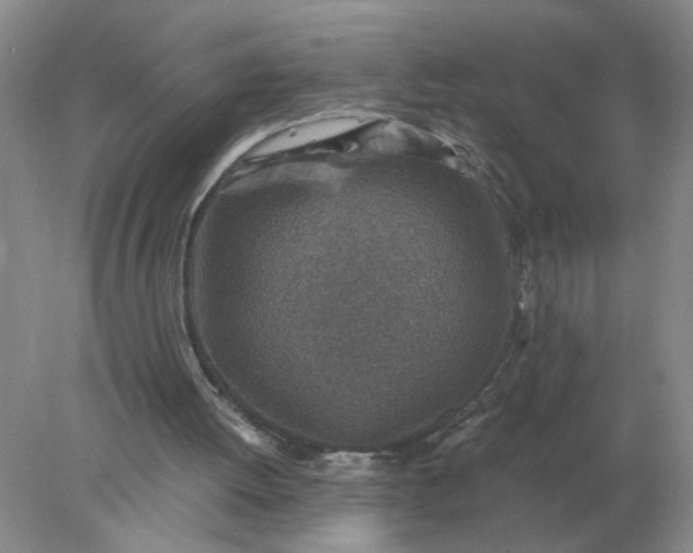 X0000078000052200611101805