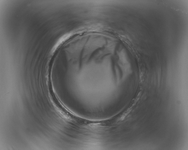 X0000078000054200611101805